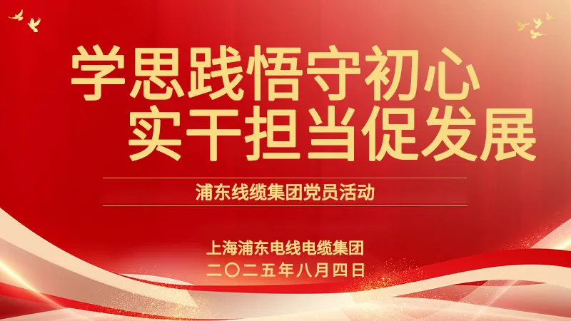黨員活動 | 浦東線纜集團：學思踐悟守初心，實干擔當促發展