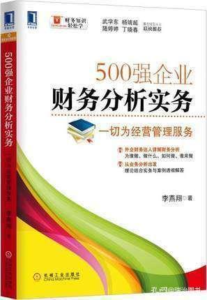 外企財務達人詳解財務分析 從業務出發，理論實務結合助力500強企業管理